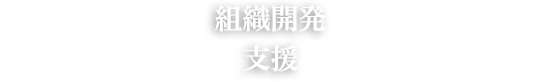 組織開発支援